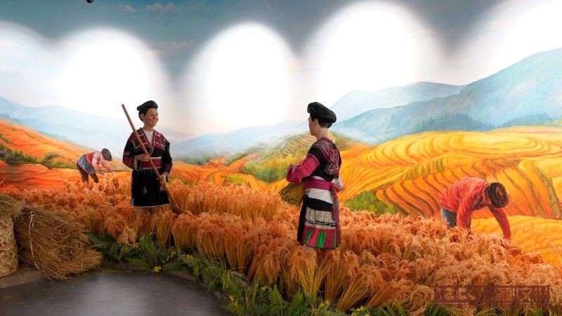 廣州展館設(shè)計(jì)全程托管